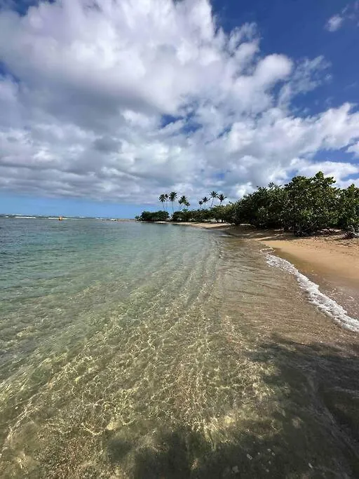Lovely Dorado Beach Villa With King Size Bed